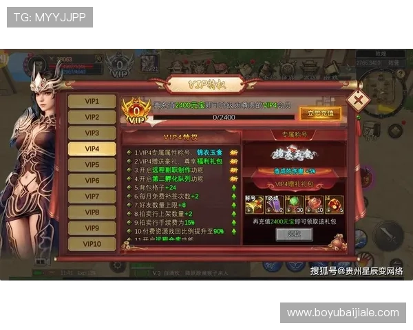 AG视讯厅VIP会员权益详解提升您的游戏体验与尊贵感受